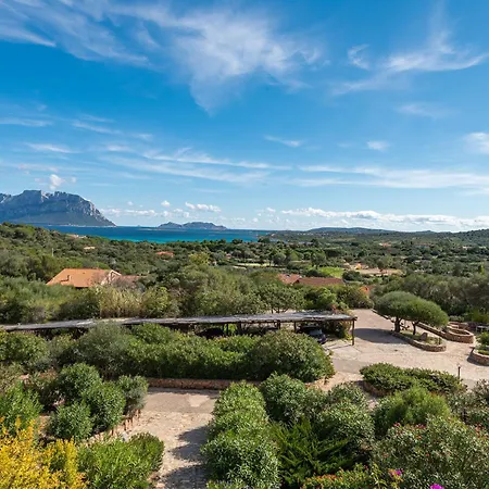 Casa vacanze Locazione Turistica Dalila - Pis610